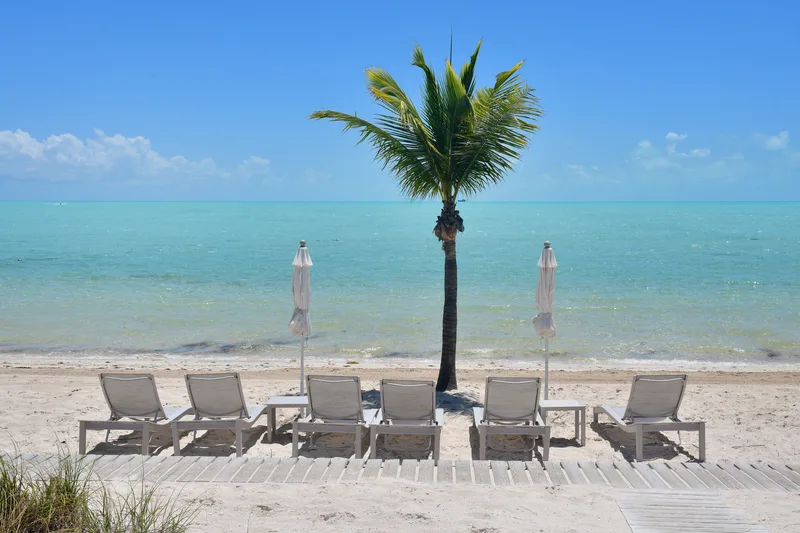 Long Bay Beach devant la villa : un palmier, des transats et le lagon peu profond